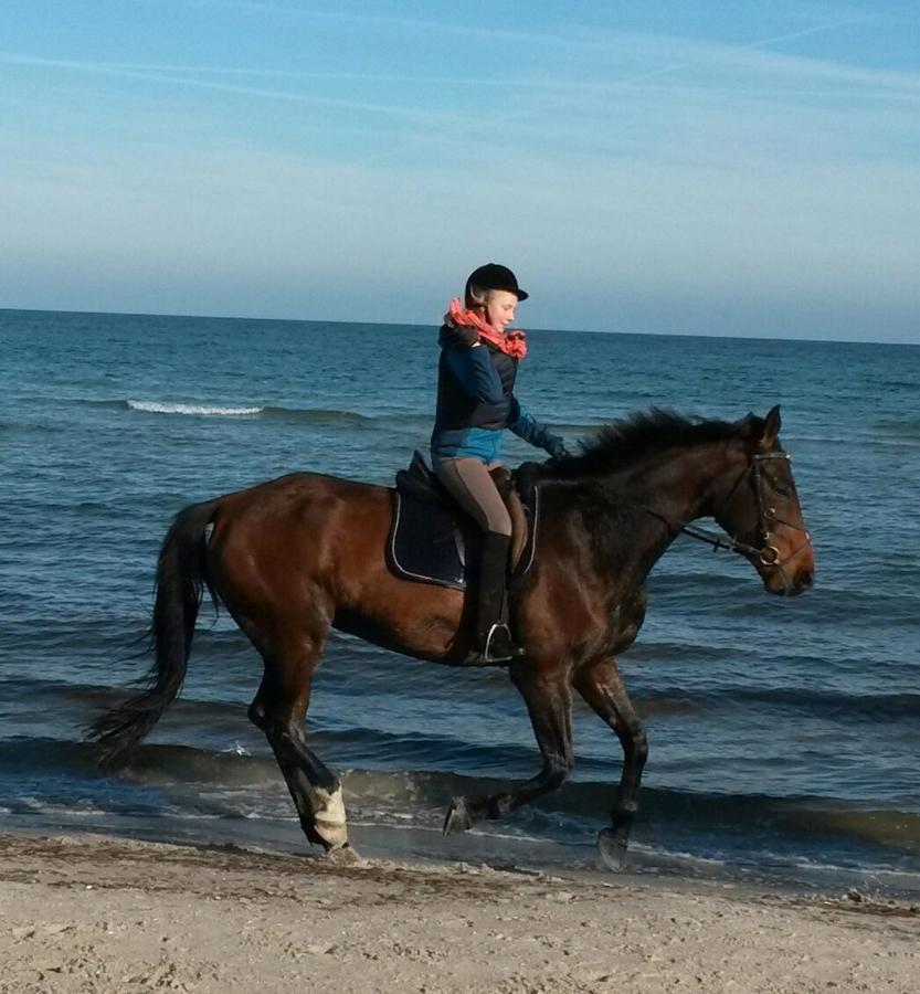 Ferienwohnung "Weststrand" Prerow Esterno foto