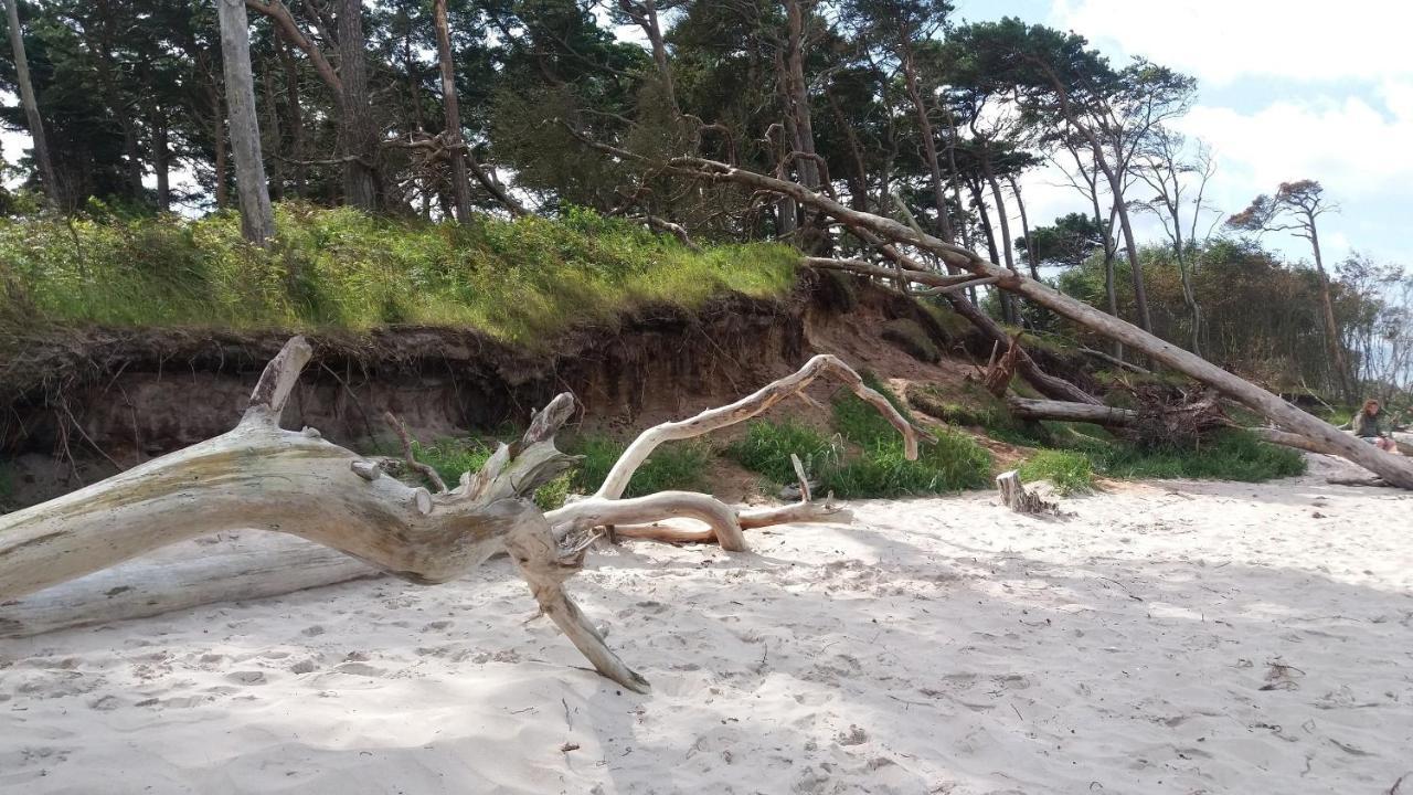 Ferienwohnung "Weststrand" Prerow Esterno foto